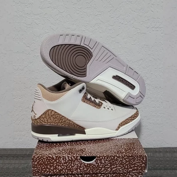 Air Jordan 3 ‘Orewood Brown’ (CT8532-102) Lifestyle Shoes